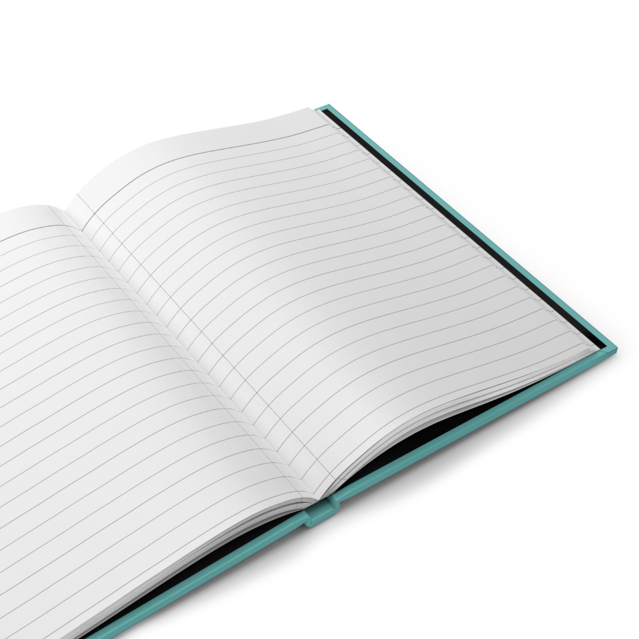 Journal