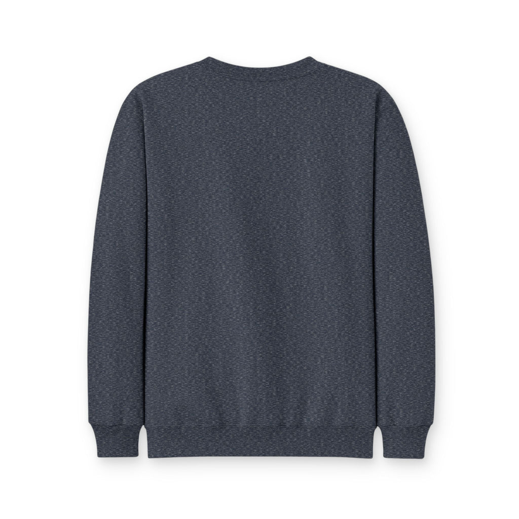 South Metallic Sweatshirt